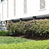 DSC 0355