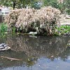 DSC 0389