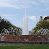 DSC 0394