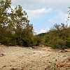 Egidio Leitao  No water in the creek at this time of the year. O riacho não tem água nessa época do ano. : Barton Creek Greenbelt
