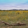 The Epic Trail goes through several other trails, such as the Llano Loop (8 miles). A Trilha Épica abrange várias outras trilhas, tais como o Llano Loop (13 km). : Big Bend Ranch State Park, Encino Loop, Llano Loop