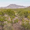 Going towards the Fresno Rim, one can see the Flatirons. Indo em direção à borda do Fresno dá pra se ver as Pedras Ferro. : Big Bend Ranch State Park, Encino Loop, Llano Loop