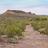 067DSC00506 : Big Bend Ranch State Park, Encino Loop, Llano Loop