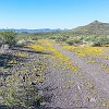 078Gal20121028 105527 : Big Bend Ranch State Park, Encino Loop, Llano Loop