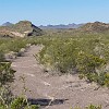 082DSC00529 : Big Bend Ranch State Park, Encino Loop, Llano Loop