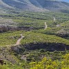 Going down into the canyon. Descendo para o canyon. : Big Bend Ranch State Park