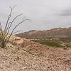034DSC00421 : Big Bend Ranch State Park