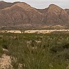 Fresno Canyon and Flat Irons. O Canyon Fresno e as Pedras Ferro. : Big Bend Ranch State Park