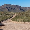 139DSC00578 : Big Bend Ranch State Park
