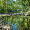 Copperfield Nature Trails