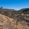 NatCnsv03 DSC00027 : Davis Mountains Preserve	Madera Canyon trail	Nature Conservancy