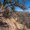 NatCnsv15 DSC00037 : Davis Mountains Preserve	Madera Canyon trail	Nature Conservancy
