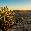 SkylineDr11 DSC00158 : Davis Mountains	Skyline Drive	Sunset