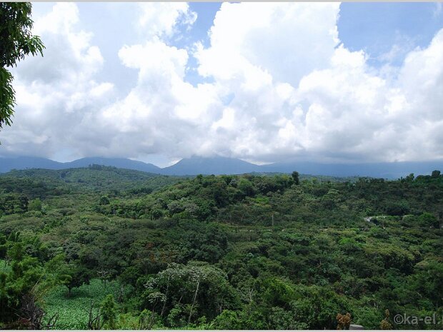 Apaneca