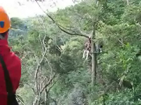 Keith's canopy tour