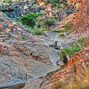 bbnp0281