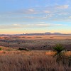DSC 0148 49 50