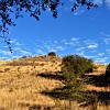DSC 0175 6 7