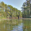 Taken with my Samsung Infuse phone. Foto tirada com meu celular Samsung Infuse. : Lake Bastrop South Shore