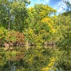 Onion Creek. Rio Cebola. : McKinney Falls State Park