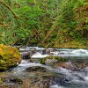 Newhalem Creek. Rio Newhalem.