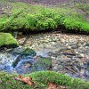 090DSC 0875 6 7
