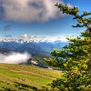 Olympic Mountains as seen from Hurricane Hill. Montanhas Olímpicas vista da Montanha do Furacão.