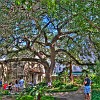Alamo gardens. Jardins do Álamo.