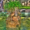 Garden fountain. Fonte do jardim.