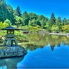 Japanese Garden. Jadim Japonês.