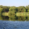 Lake Bastrop