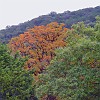photo13