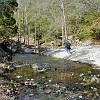 LostMaples13