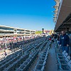 MotoGP039 DSC00178 : COTA