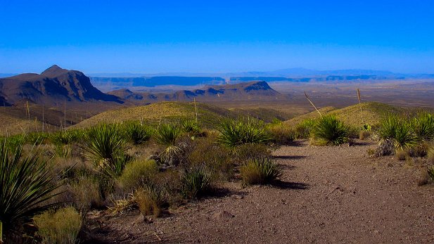 2006-01-05-IMG_0066 To see these older trips, please go to this link: Big Bend National Park . Para ver estas fotos mais antigas, por favor vá para esta página: Big Bend National...