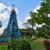 This farm is the original site where Ypioca was made. This Christmas tree is made of recycled water containers. Esta fazenda é o local original onde Ypioca was made. : Fortaleza, Museu da Cachaça